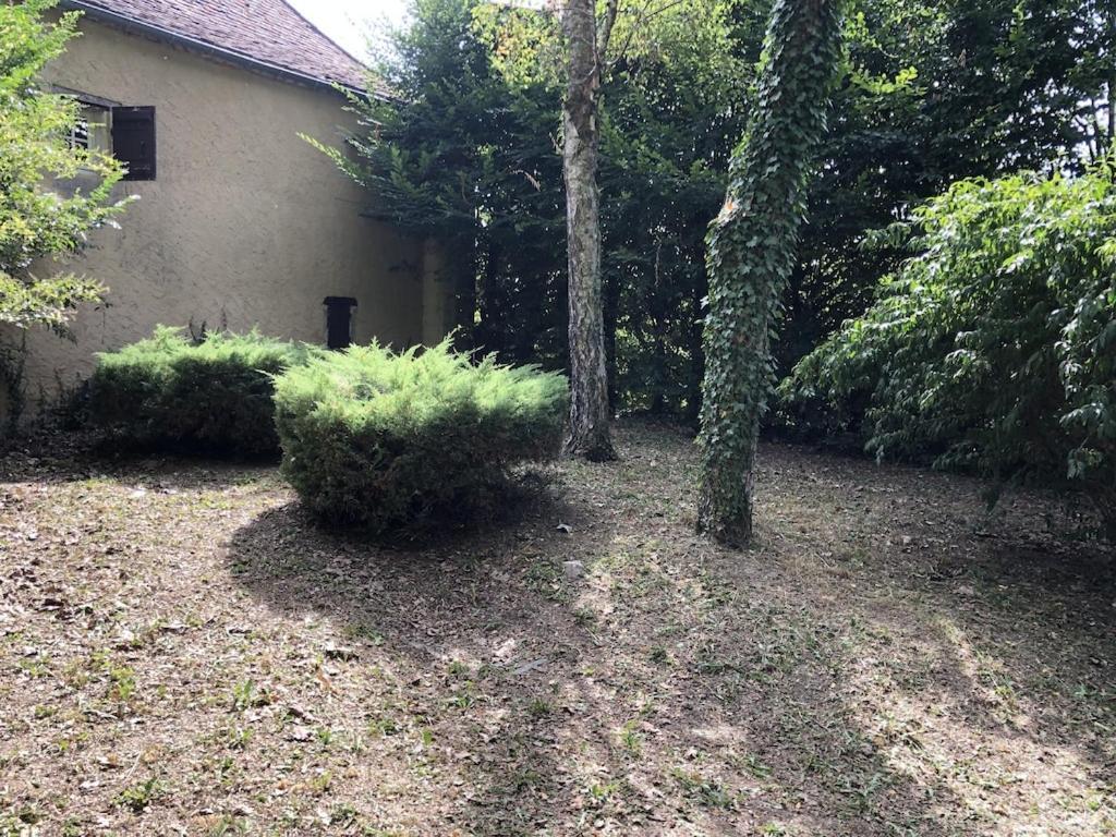 Le Cireysou - Secluded Farmhouse With Large Private Pool And Grounds Saint-Germain-et-Mons Экстерьер фото